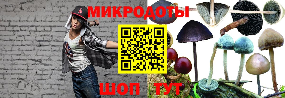 Псилоцибиновые грибы Psilocybine cubensis Ковров