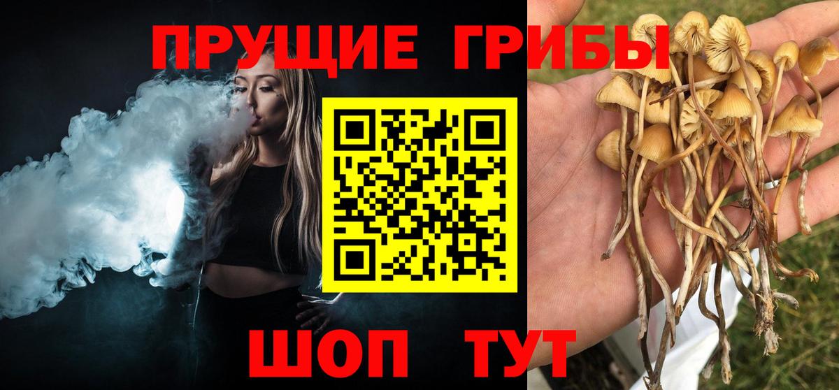 Ковров  Псилоцибиновые грибы ЛСД  Вход с VPN 